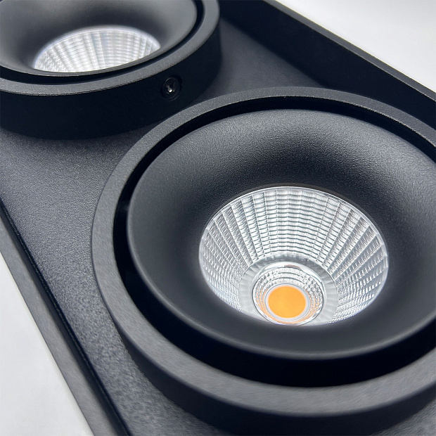 Skarlat RSLC78005 2*10W BK 4000K