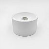 Skarlat RSLC78042 20W WH 4000K-1