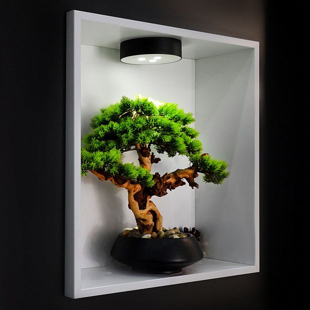 Skarlat  RSLС78032 3×3W BK+WH 4000K