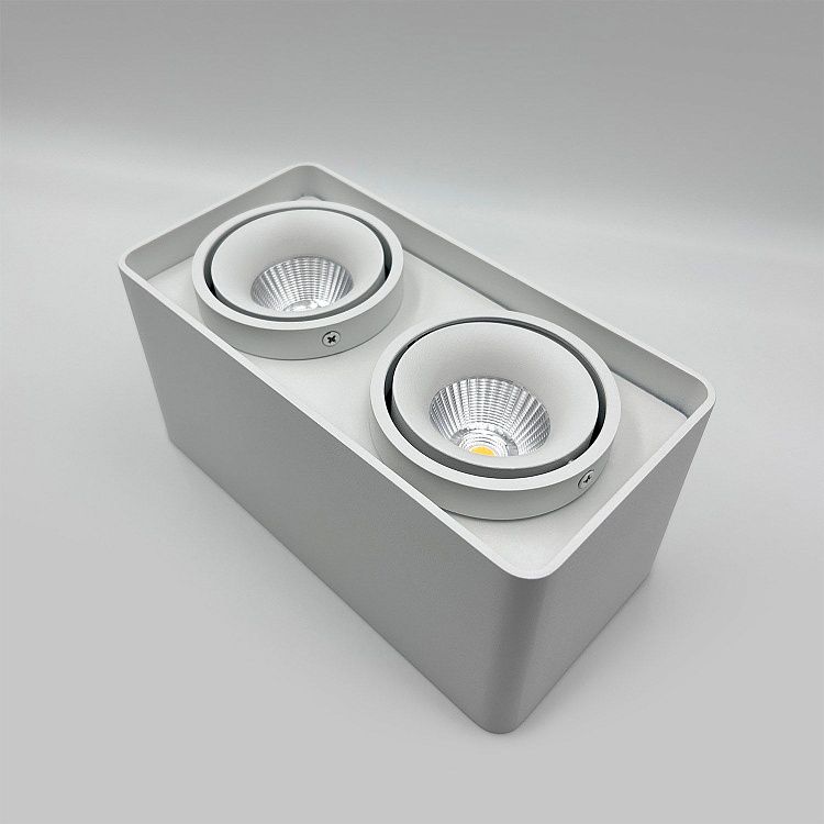 Skarlat RSLC78005 2*10W WH 4000K