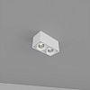 Skarlat RSLC78005 2*10W WH 3000K