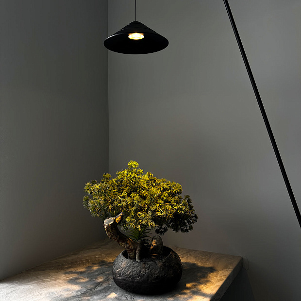 Skarlat  RLL8109 10W BK 4000K