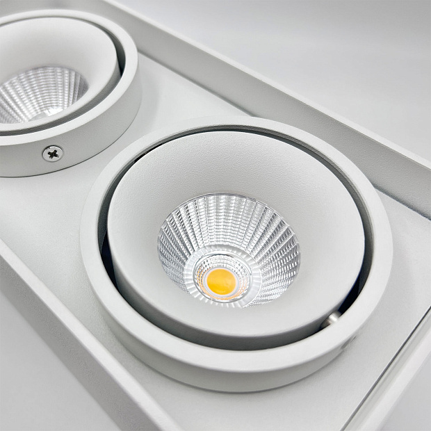 Skarlat RSLC78005 2*10W WH 4000K