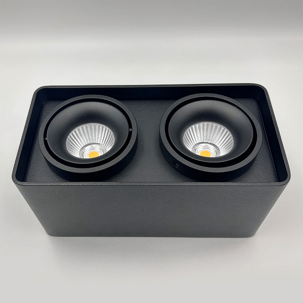 Skarlat RSLC78005 2*10W BK 3000K