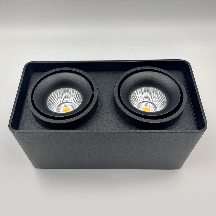 Skarlat RSLC78005 2*10W BK 3000K