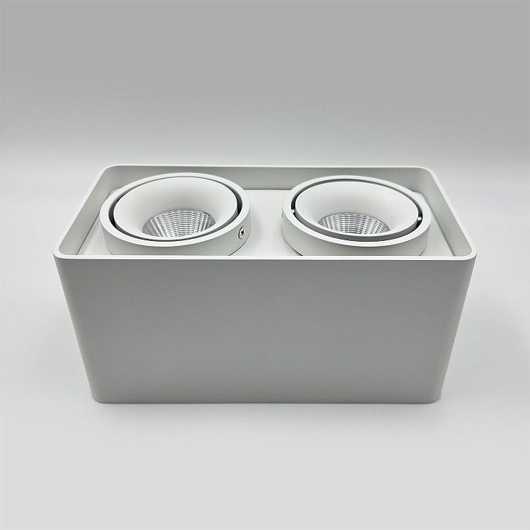 Skarlat RSLC78005 2*10W WH 4000K