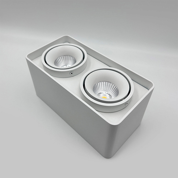 Skarlat RSLC78005 2*10W WH 3000K